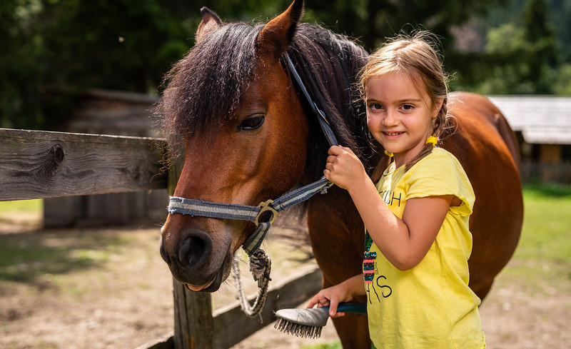 trattlers-hof-chalets-sommer-15