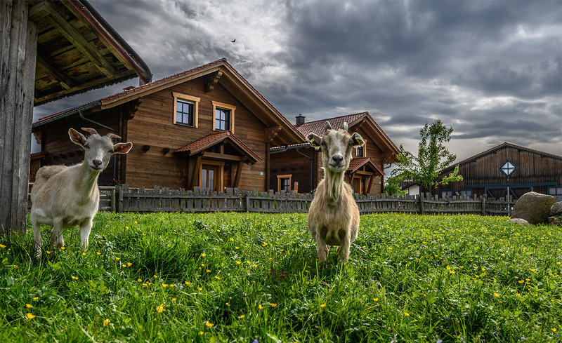 wenzl-hof-chalets-sommer-29