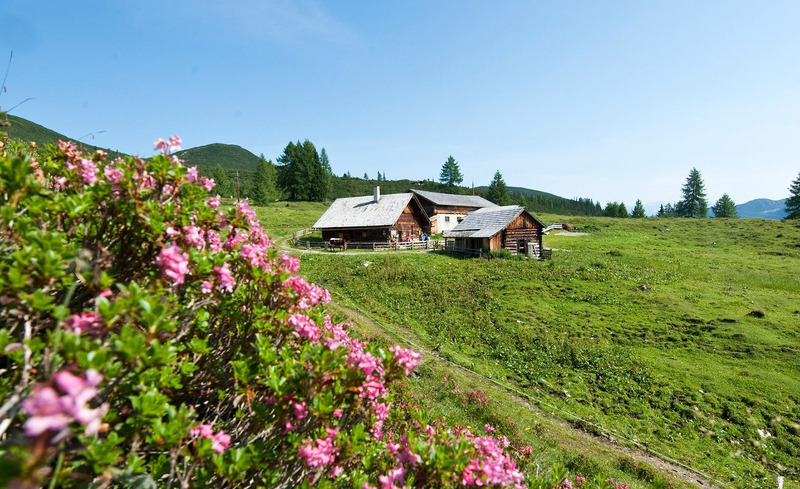 zauchensee-sommer-19