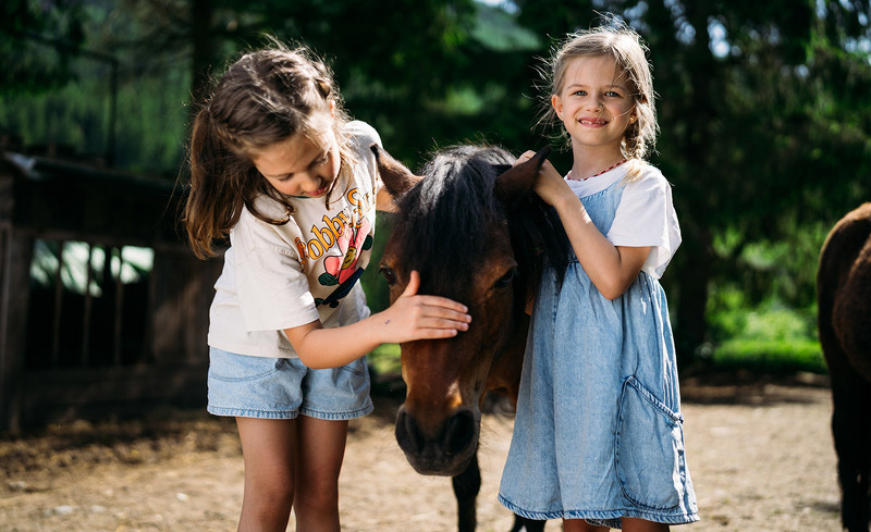 trattlers-hof-chalets-2