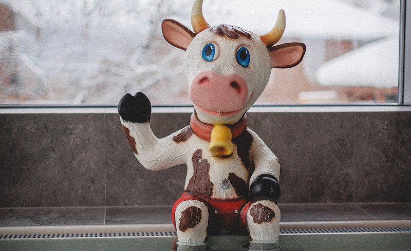 hotel-oberschwarzach-spa-28