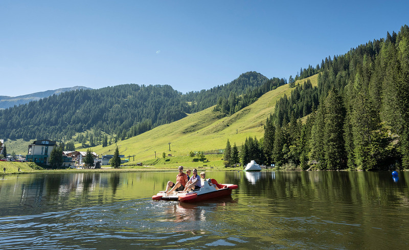 alpenrose-lorenz-masser-16