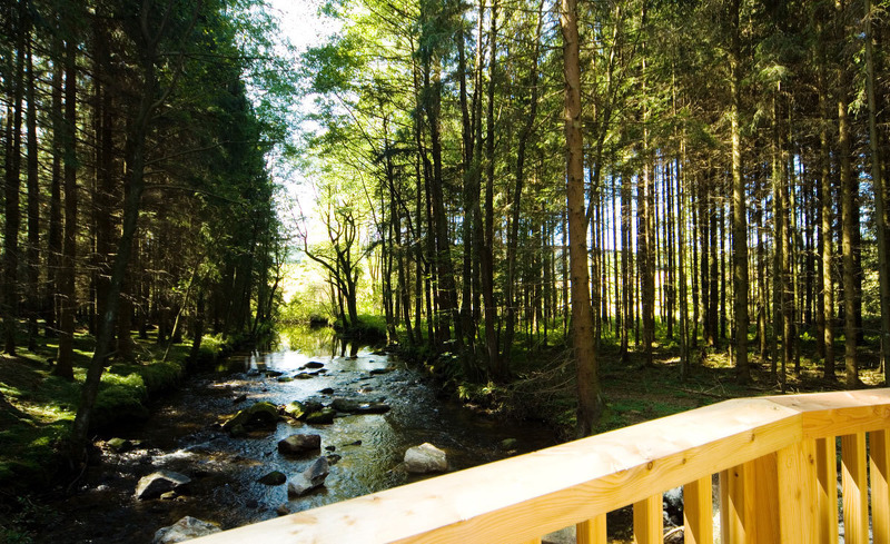Die Forstgutchalets liegen im Naturpark Bayerischer Wald