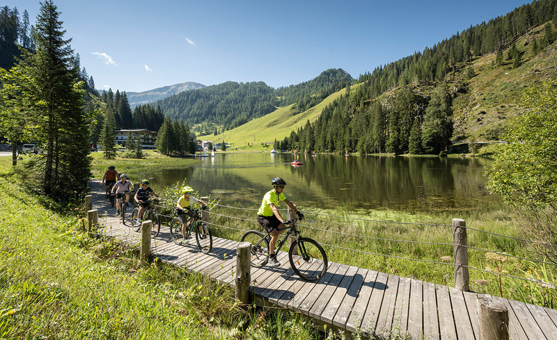 alpenrose-lorenz-masser-23