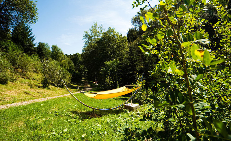 Feriendorf Forstgut in Bayern: Ruhe und Erholung in der Ferienanlage im Nationalpark Bayerischer Wald 