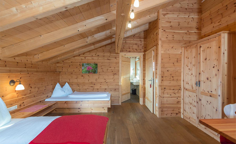 alpine-lodge-schladming-023