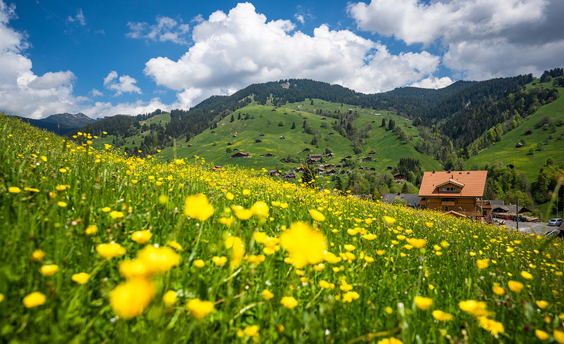 engel-ingold-lodge-aussicht-3