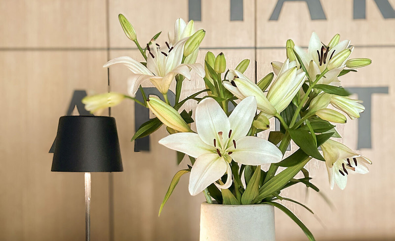 harmls-aparthotel-copyright-gruber-4