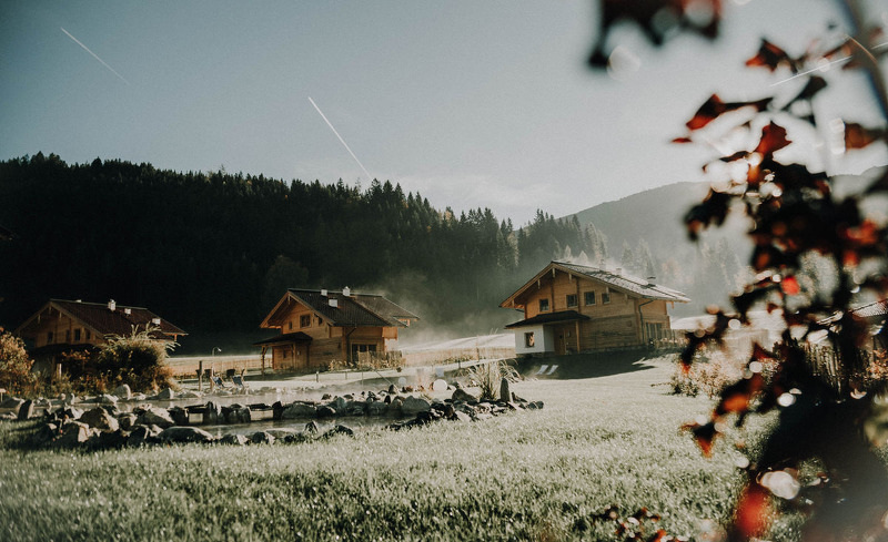 3 Rosen im Herbstnebel
