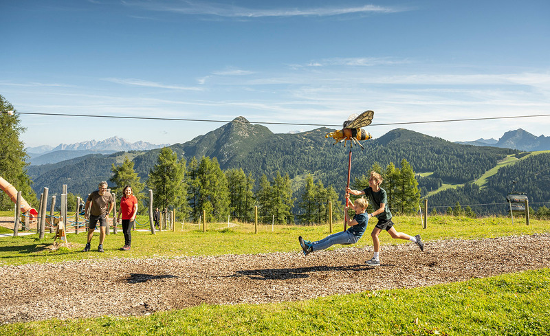 alpenrose-lorenz-masser-6