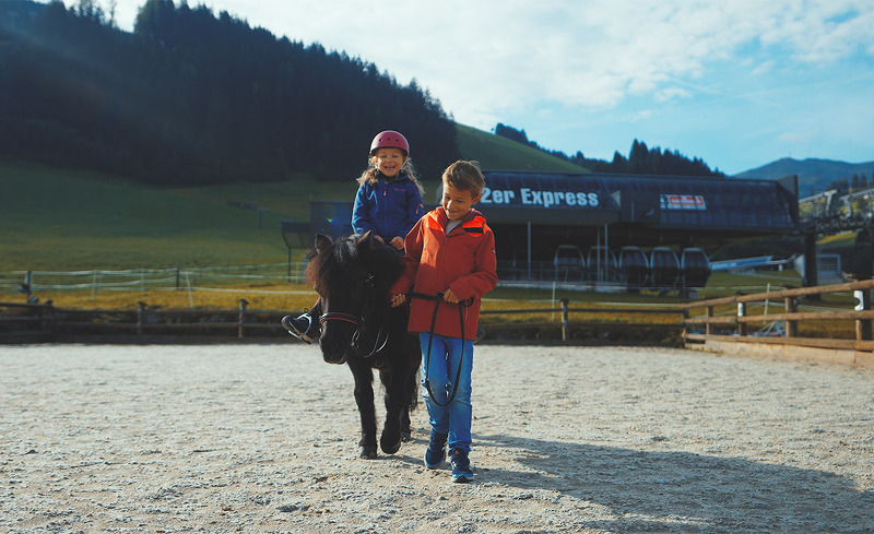 kinder-tiere-oberschwarzach-4