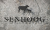 senhoog-bergwaertsgeist-logo