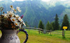 Sommerfrische in den Salzburger Alpen - Urlaub im Aktivhotel Alpendorf