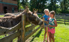 bleimes-familienhotel-4