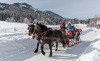 pferdeschlitten-winterurlaub