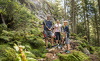 alpenrose-lorenz-masser-24
