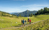 alpenrose-lorenz-masser-7