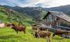 engel-ingold-lodge-aussicht-1