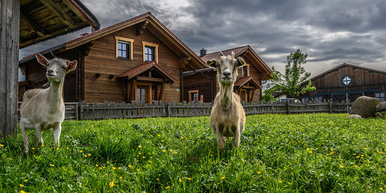 wenzl-hof-chalets-sommer-24