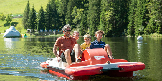 alpenrose-lorenz-masser-41