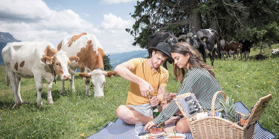 picknick-alm