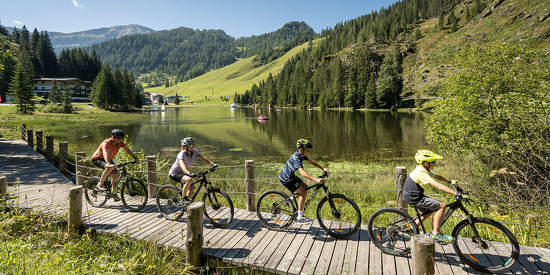 alpenrose-lorenz-masser-22