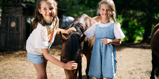 trattlers-hof-chalets-1