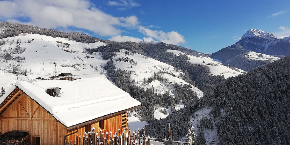 natur-chalet-rinkwein-1