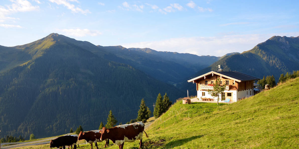 Sommerurlaub in Saalbach-Hinterglemm auf der Alm in der Wallegg Lodge in Salzburg